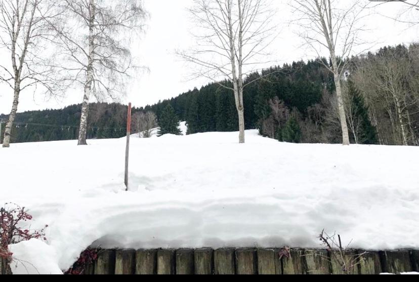 Fewo Alpenwiese Mit Hallenbad&Sauna Missen-Wilhams Buitenkant foto