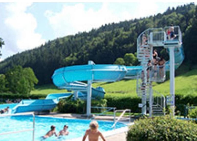 Fewo Alpenwiese Mit Hallenbad&Sauna Missen-Wilhams Buitenkant foto