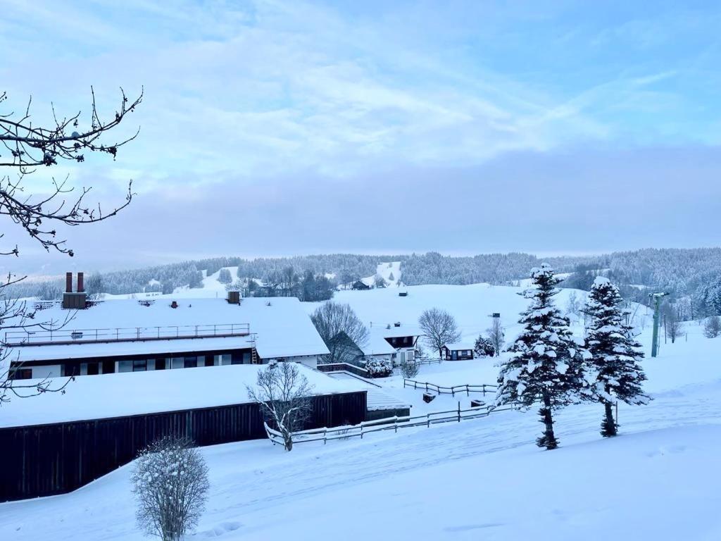 Fewo Alpenwiese Mit Hallenbad&Sauna Missen-Wilhams Buitenkant foto
