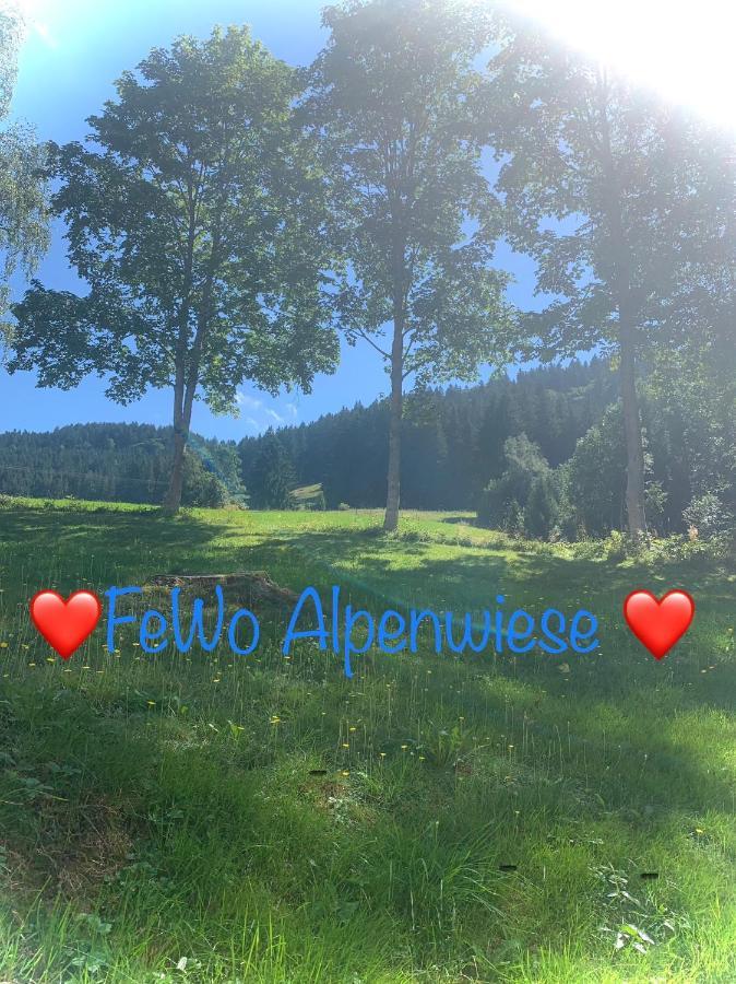 Fewo Alpenwiese Mit Hallenbad&Sauna Missen-Wilhams Buitenkant foto