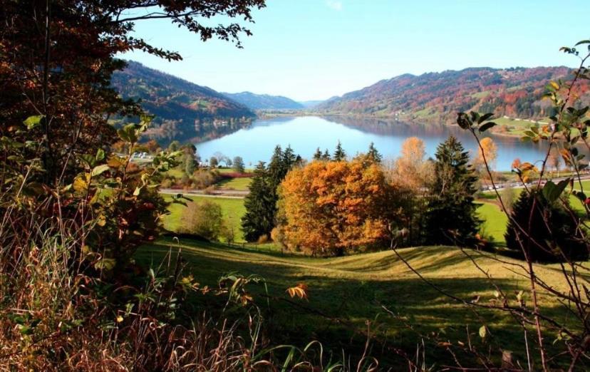 Fewo Alpenwiese Mit Hallenbad&Sauna Missen-Wilhams Buitenkant foto